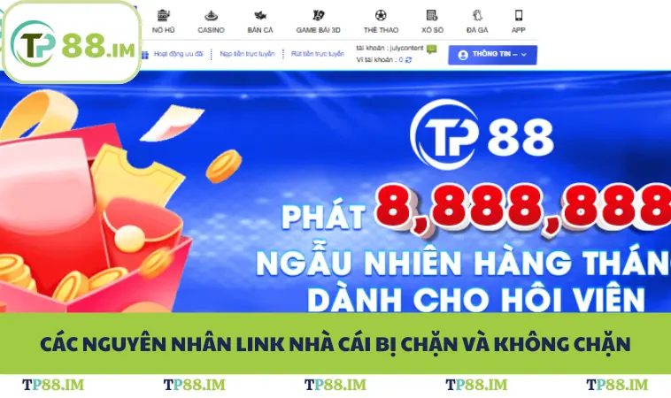 Link TP88 Không Bị Chặn - Vào Nhanh, Chơi Mượt Nhất 3 Các nguyên nhân link nhà cái bị chặn và không chặn