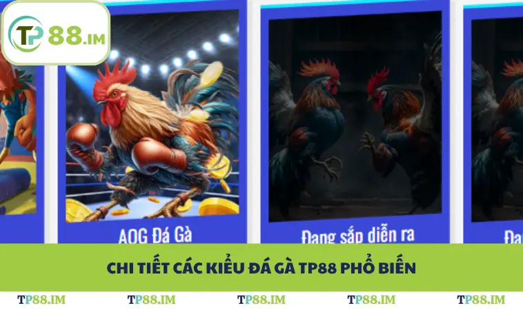 Chi tiết các kiểu đá gà TP88 phổ biến