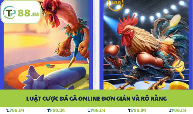 Luật cược đá gà online đơn giản và rõ ràng