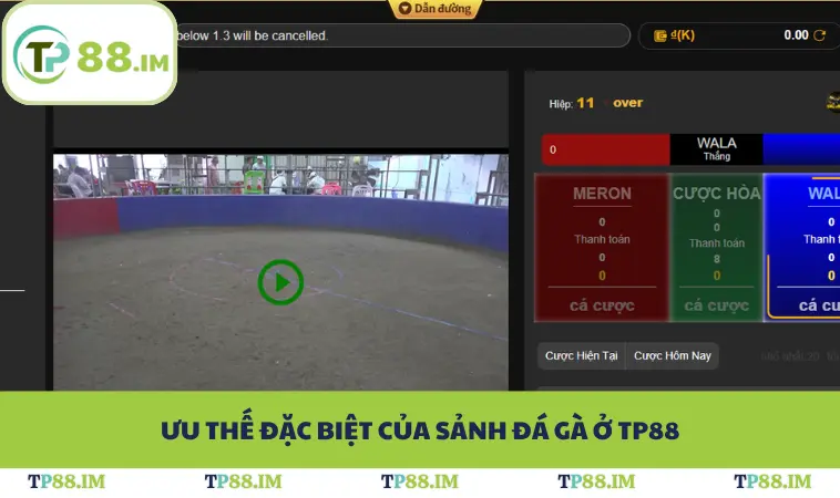 Ưu thế đặc biệt của sảnh đá gà ở TP88